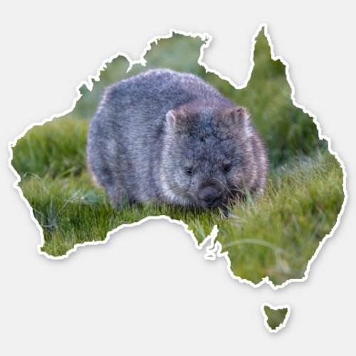 Australia Outline Shape Cute Wombat Tasmania Sticker