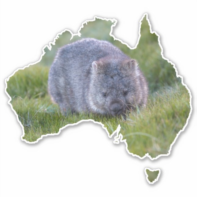 Australia Outline Shape Cute Wombat Tasmania Sticker (Front)