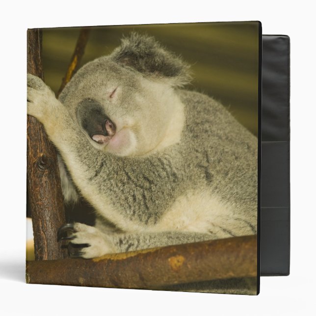 Australia, Queensland, Brisbane. Fig Tree Binder (Front/Inside)