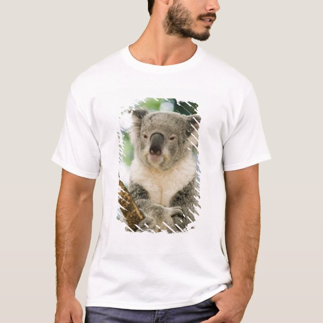 Australia, Queensland, Brisbane, Fig Tree T-Shirt (Front)