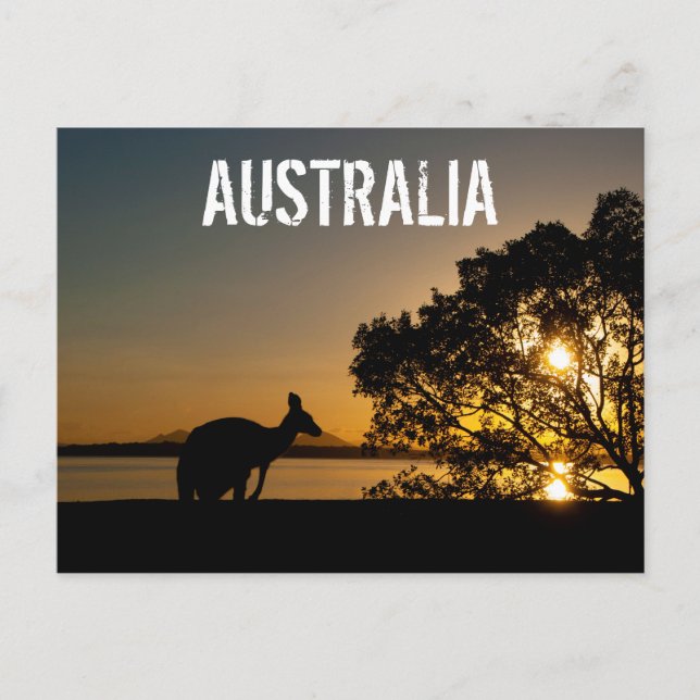 Australia Queensland Mountains Kangaroo Sunset Postcard (Front)