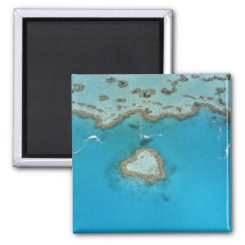 Australia  Queensland  The Whitsunday Islands  Magnet by takemeaway at Zazzle