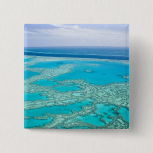 Australia, Queensland, Whitsunday Coast, Great 3 Button