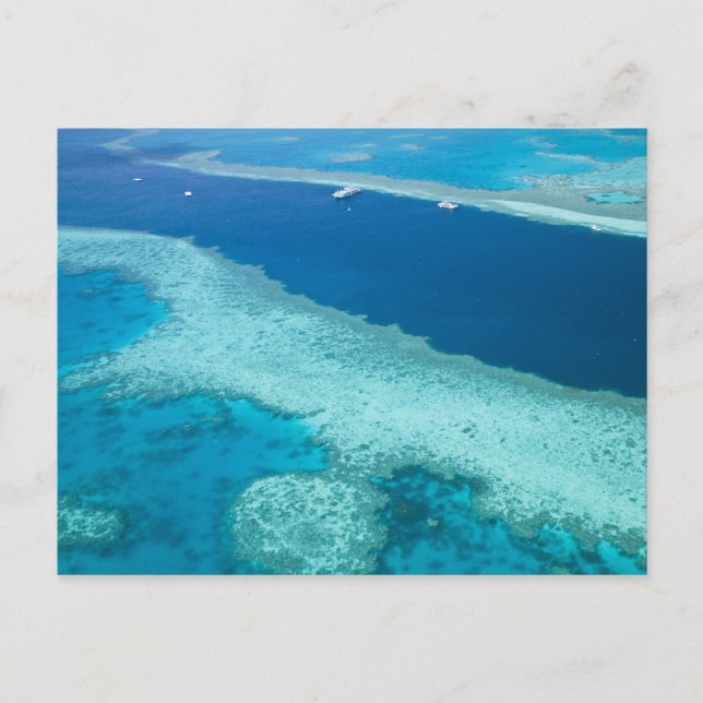 Australia, Queensland, Whitsunday Coast, Great 5 Postcard (Front)