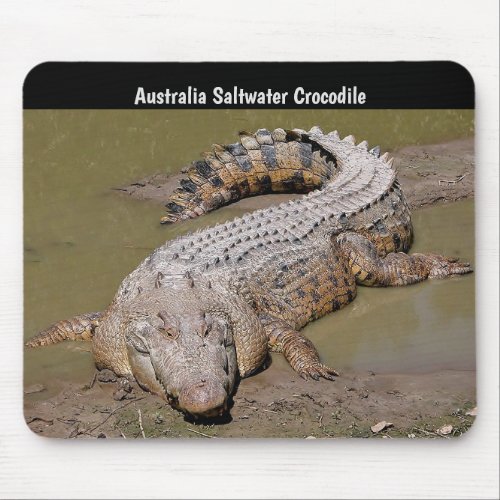Australia Saltwater Crocodile Mouse Pad