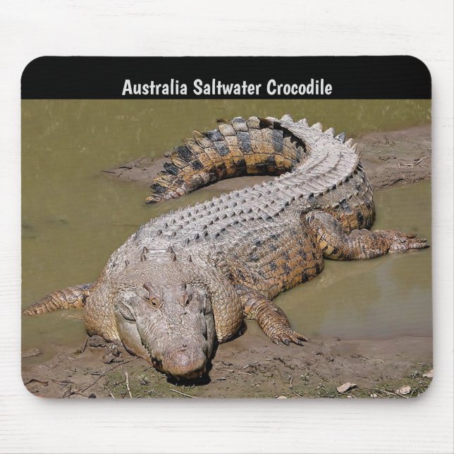 Australia Saltwater Crocodile Mouse Pad (Front)