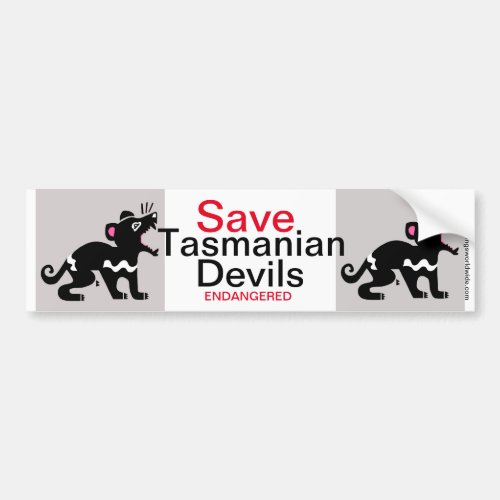 Australia _ Save Tasmanian DEVILS _ Wildlife Bumper Sticker