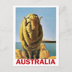 Australia, sheep on the coast postcard