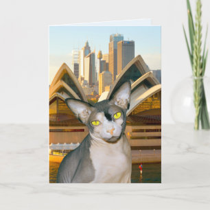 Australia Sydney Sphynx Cat Rex Cat Happy Birthday Holiday Card