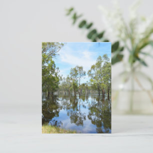 Australia The River Murray, Holiday Postcard
