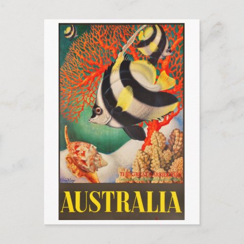 Australia Tropic Fish at the Great Barrier Reef Postcard