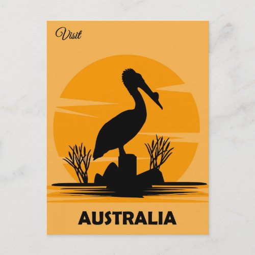 Australia Vintage Pelican Travel Postcard