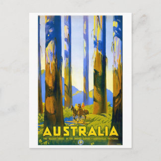 Australia - Vintage Travel Postcard