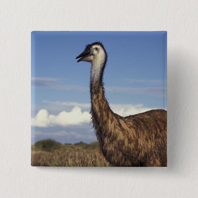 Australia, Western Australia. Emu (Dromaius Button (Front)