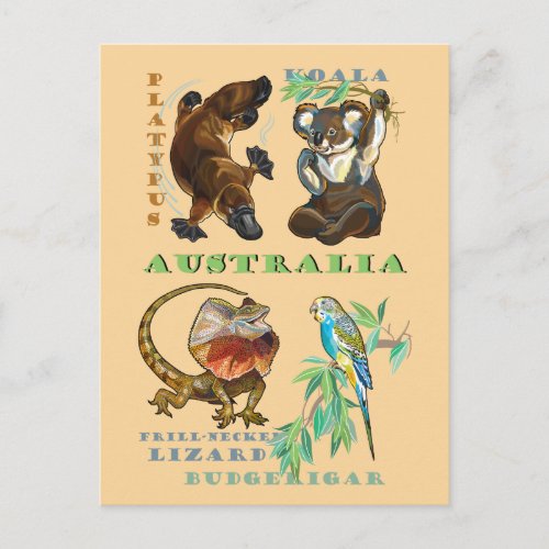 Australia wildlife postcard