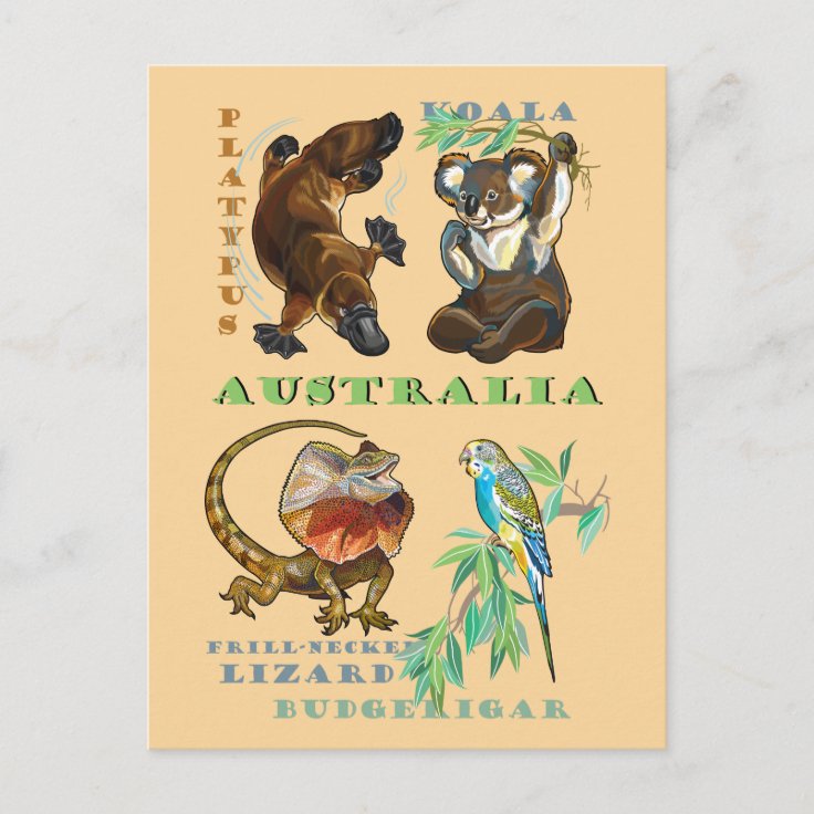 Australia wildlife postcard | Zazzle