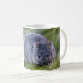 Australia Wombat Cute Personalized Photo
