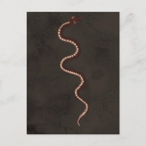 Australian Aboriginal Desert Snake Art Postcard