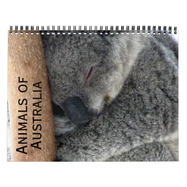 australian animals 2024 calendar | Zazzle