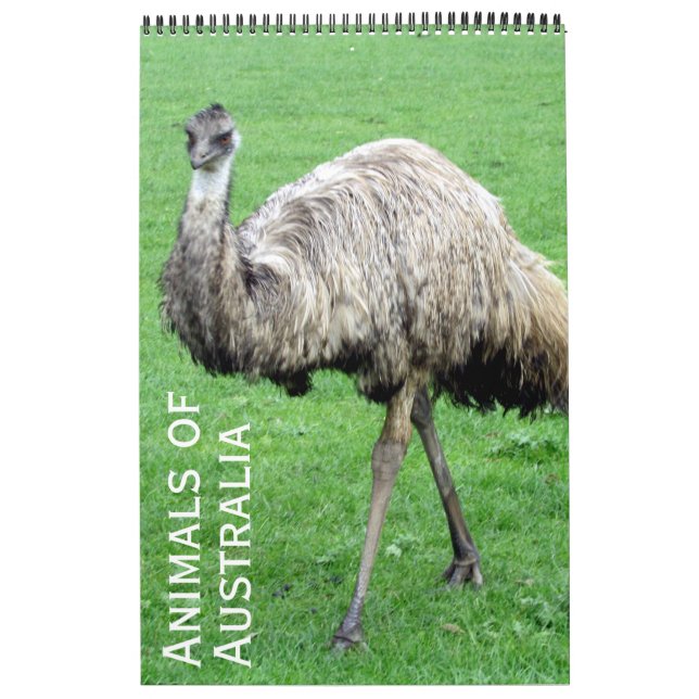 australian animals calendar (Cover)