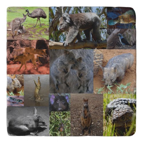 Australian Animals Photo Collage Stone Trivet