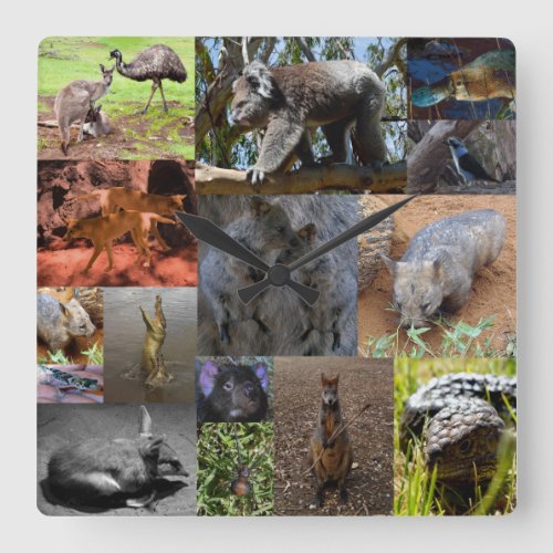 Australian Animals Photo Collage Wall Clock