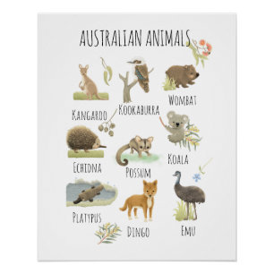 Australian Animals Poster
