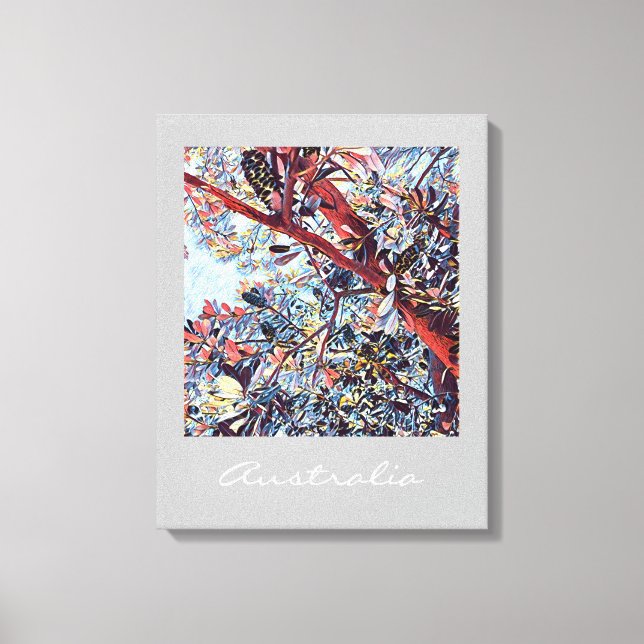 Australian Banksia tree native plant Canvas Print (Front)