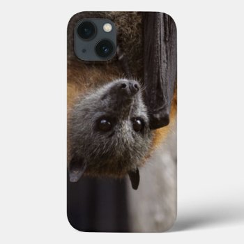 Australian Bat Iphone 13 Case by wildlifecollection at Zazzle