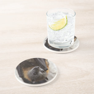 Australian Bat Coaster