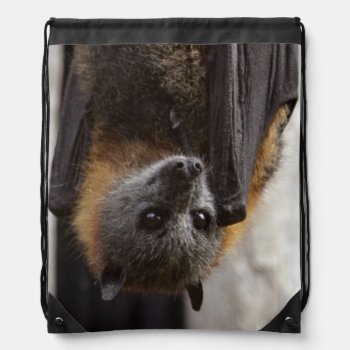 Australian Bat Drawstring Bag by wildlifecollection at Zazzle