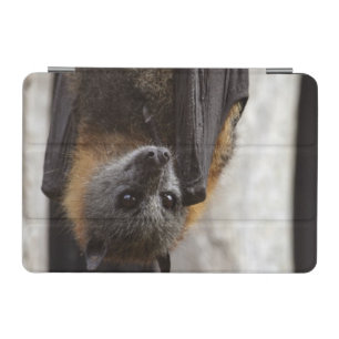 Australian Bat iPad Mini Cover