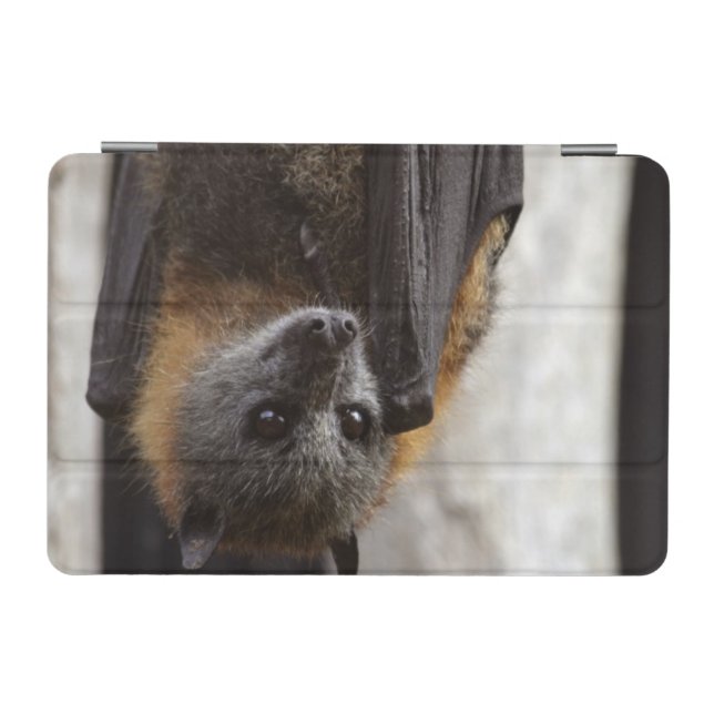 Australian Bat iPad Mini Cover (Horizontal)