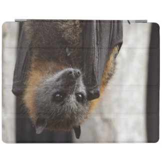Australian Bat iPad Smart Cover