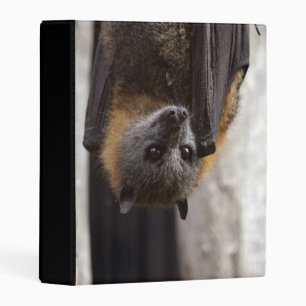 Australian Bat Mini Binder