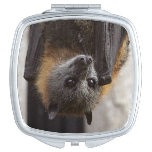 Australian Bat Mirror For Makeup