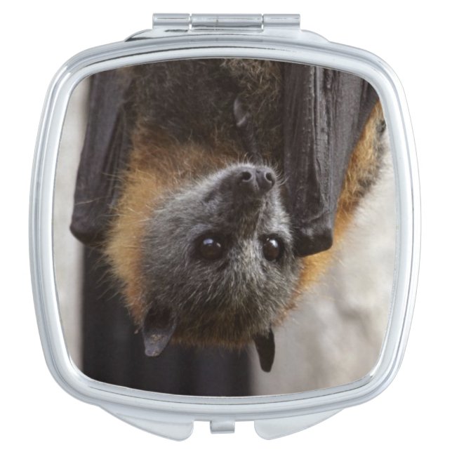 Australian Bat Mirror For Makeup (Front)