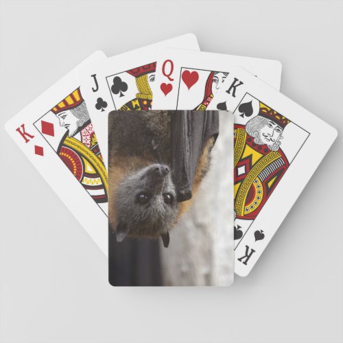 Australian Bat Playing Cards