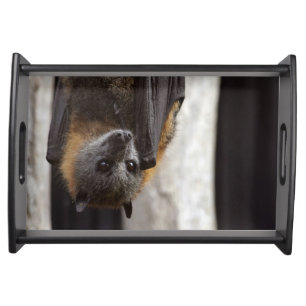 Australian Bat Serving Tray