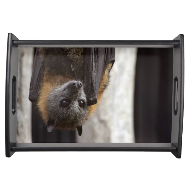 Australian Bat Serving Tray (Front)