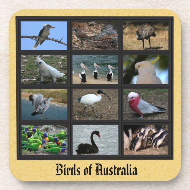 Australian Birds Beverage Coaster (Front)