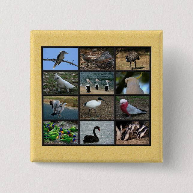 Australian Birds Pinback Button (Front)