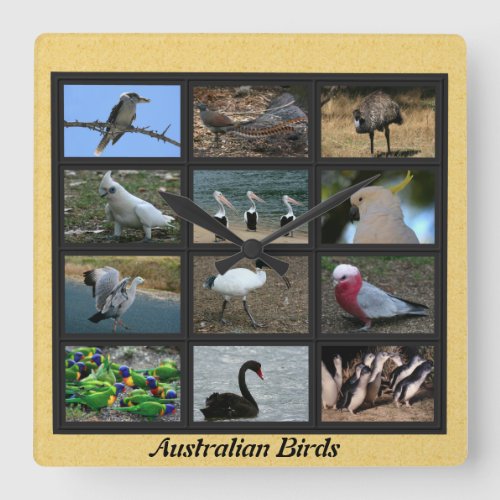Australian Birds Square Wall Clock