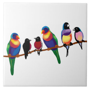 Australian birds tile