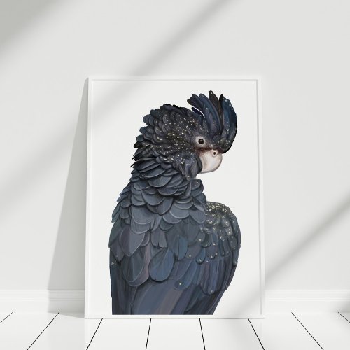 Australian Black Cockatoo Illustration Poster