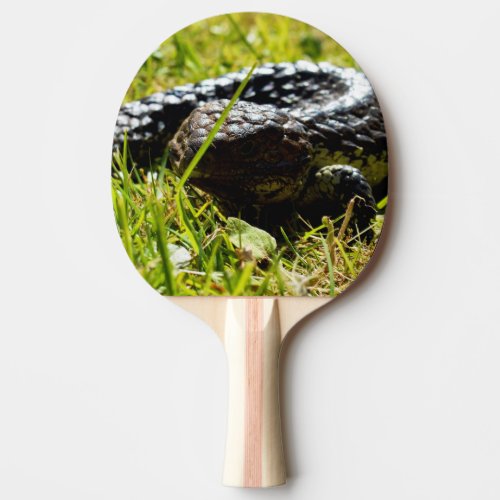 Australian Blue Tongue Shingleback Lizard Ping Pong Paddle