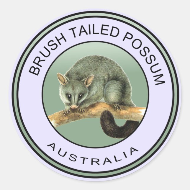 Australian brush tailed possum classic round sticker (Front)