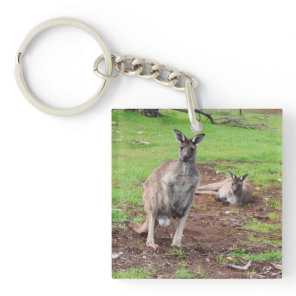 Australian Buck Kangaroo, Keychain