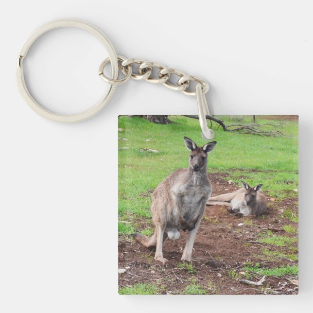 Australian Buck Kangaroo, Keychain (Front)