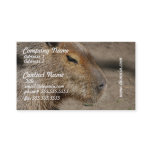 Australian Capybara Business Cards